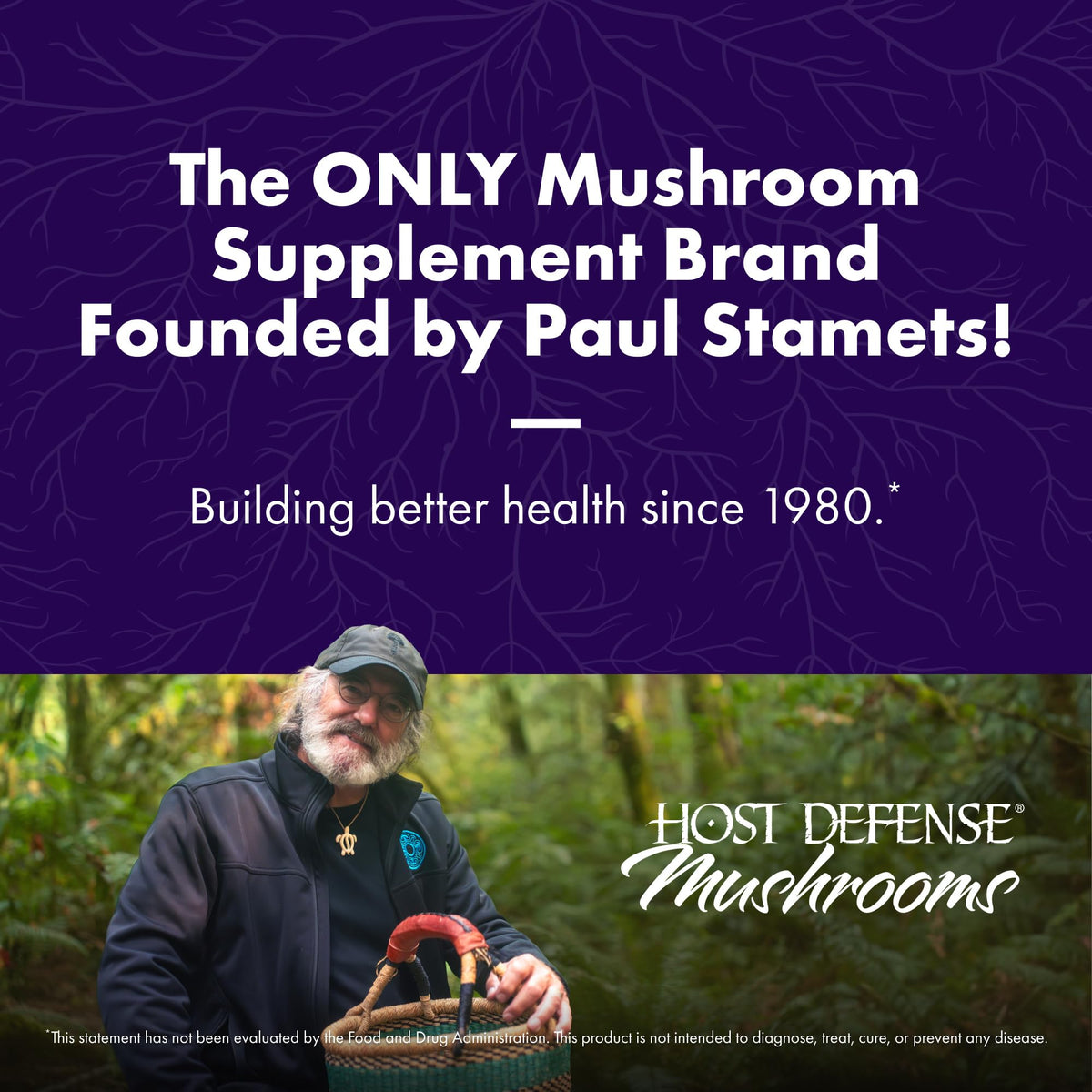 Host Defense MycoBotanicals Brain Support - 60 Capsules - image 3