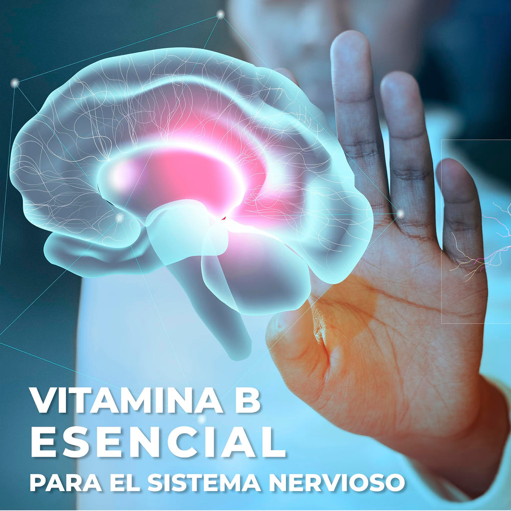 Vidanat Complex B Vitamin B-Complex - 90 Capsules - image 7