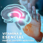 Vidanat Complex B Vitamin B-Complex - 90 Capsules - image 7