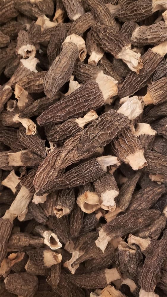 Xi Ge Ge Dried Morel Mushrooms - 8 oz - image 2