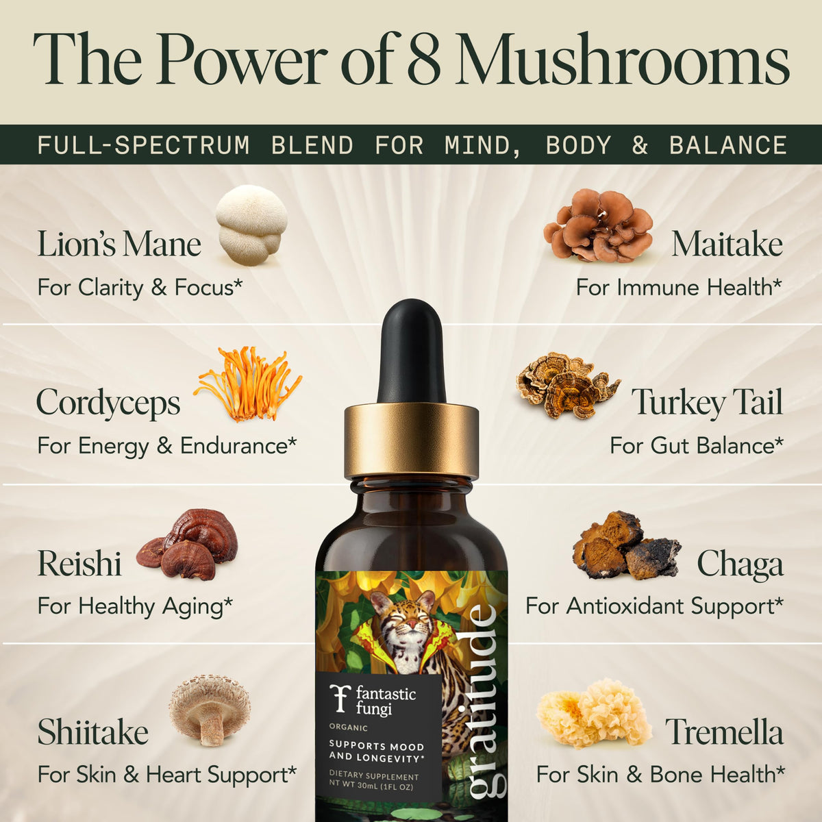 Fantastic Fungi Mushroom Extract - 8-in-1 Organic Complex Mushroom