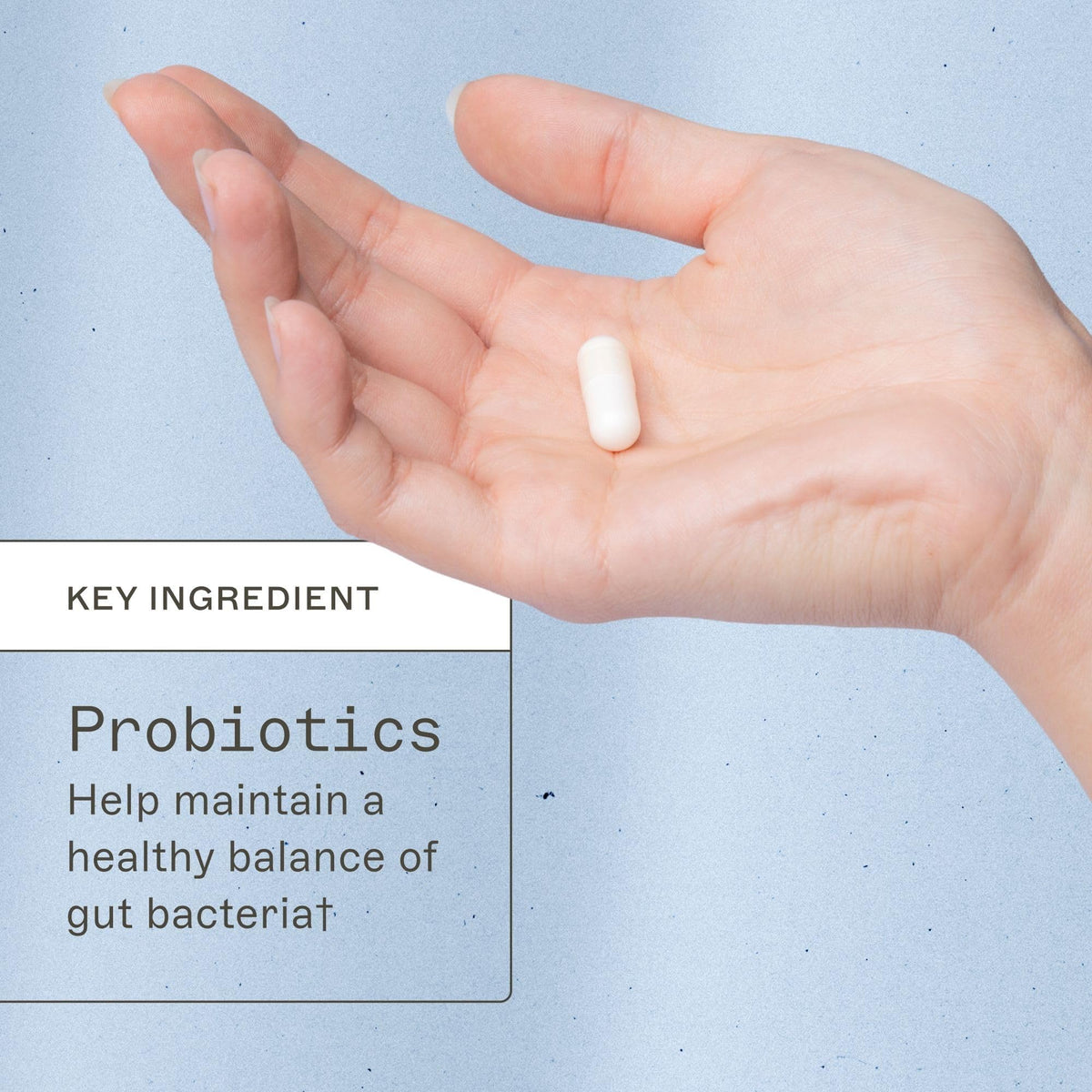 Amy Myers MD Primal Earth Probiotic Soil-Based - 30 Capsules - image 4