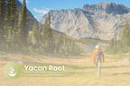 PURE ORIGINAL INGREDIENTS Yacon Root Extract - 100 Capsules - image 5