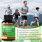 DIATMOON Dandelion Root 10:1 Extract