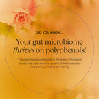 Pendulum Polyphenol Booster Prebiotic - 60 Capsules - image 6