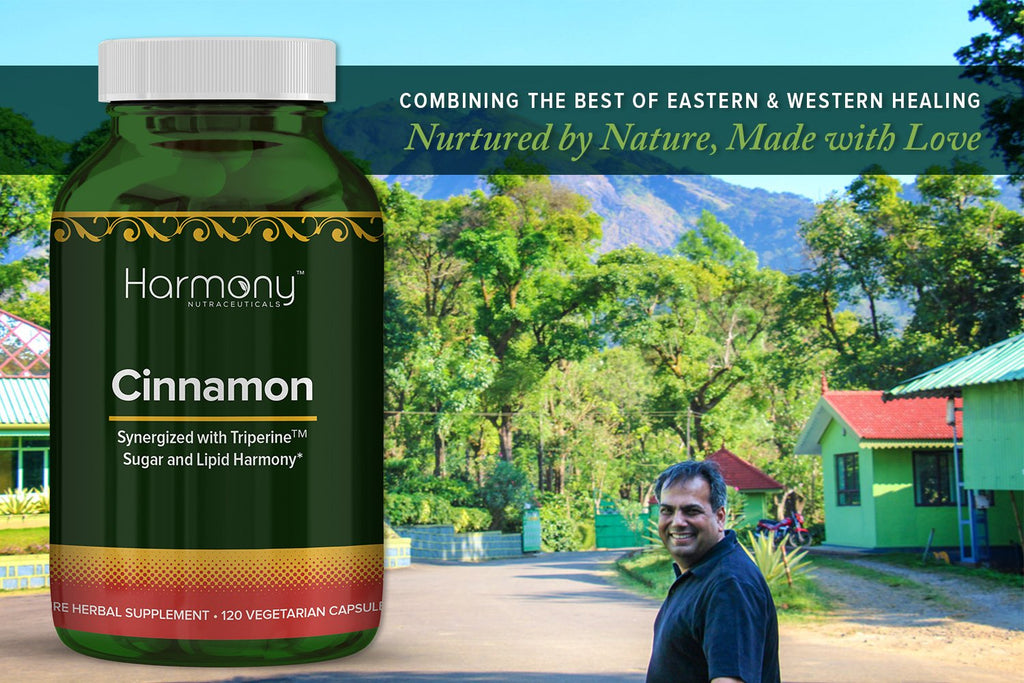 Harmony Nutraceuticals Ceylon Cinnamon Capsules - 120 Count - image 8