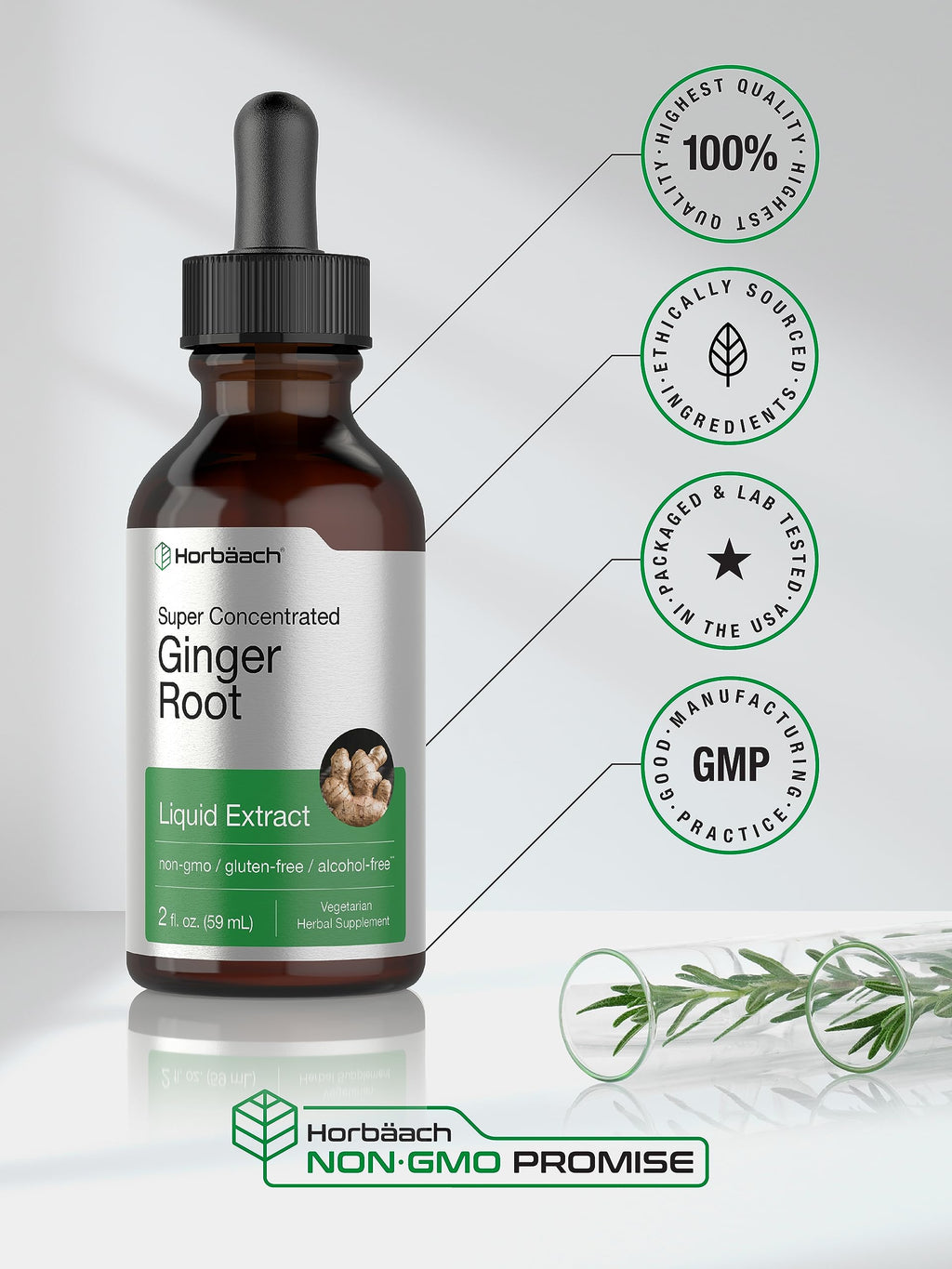 Horbäach Ginger Root Extract Liquid Alcohol Free - 2 Fl Oz - image 5
