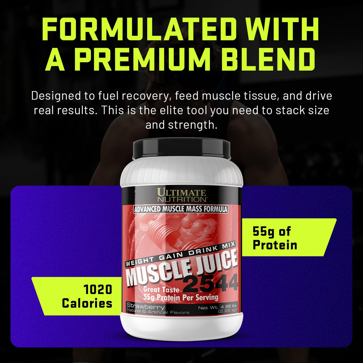 Ultimate Nutrition Muscle Juice 2544 Mass Gainer