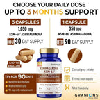 Granions KSM-66 Ashwagandha Stress & Focus Support - 90 Capsules - image 5