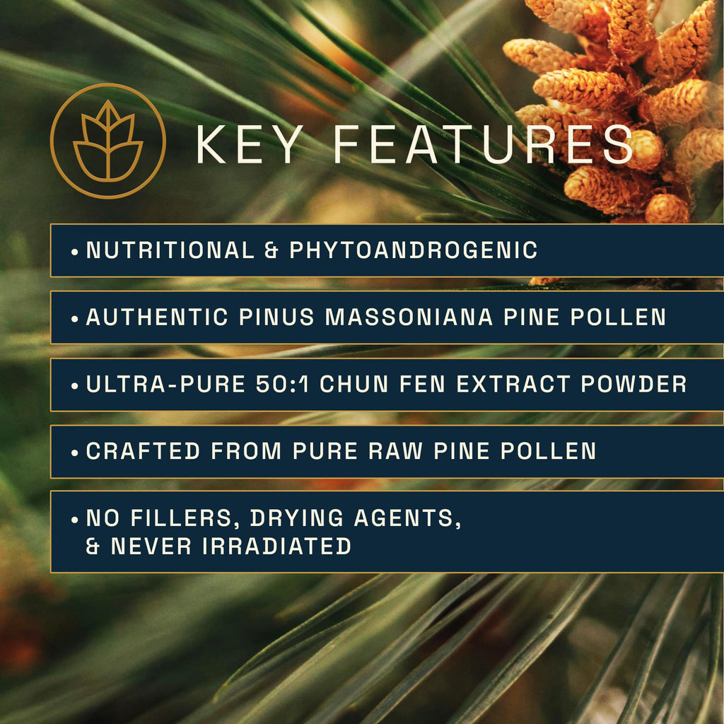 RAW Forest Foods Pine Pollen Extract 50:1 - 120 Capsules - image 2