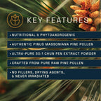 RAW Forest Foods Pine Pollen Extract 50:1 - 120 Capsules - image 2