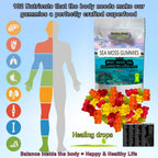 HEALING DROPS Irish Sea Moss Gummies