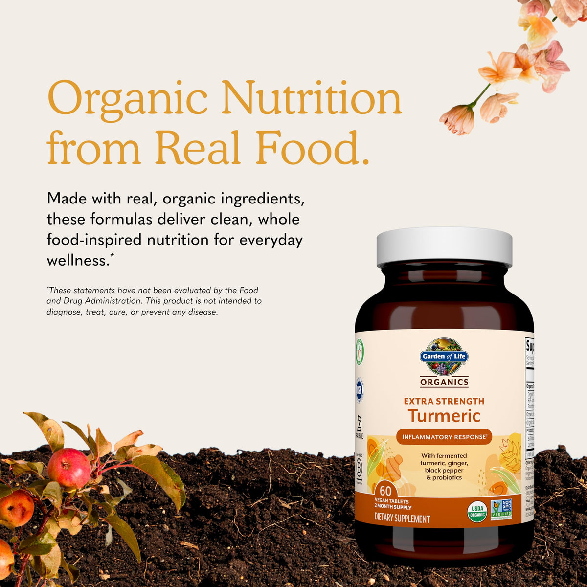 Garden of Life Organics Turmeric Extra Strength