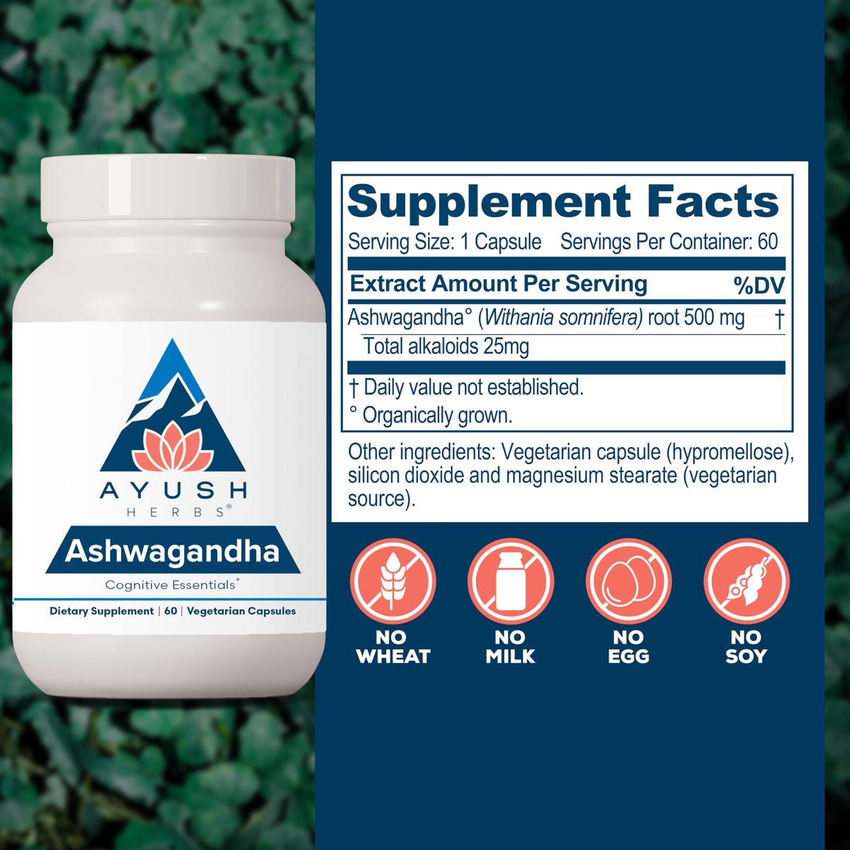 Ayush Herbs Ashwagandha Capsules 500mg for Stress - 60 Capsules - image 3