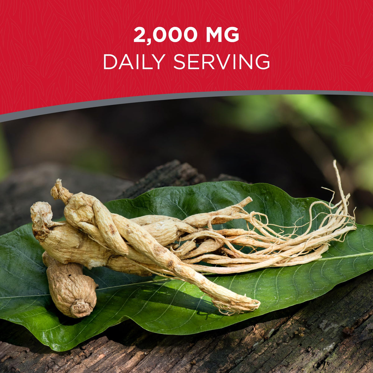 Dairyland Management LLC Ginseng Roots 西洋参 - Wisconsin Ginseng Root