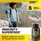 HERBIFY Lions Mane
