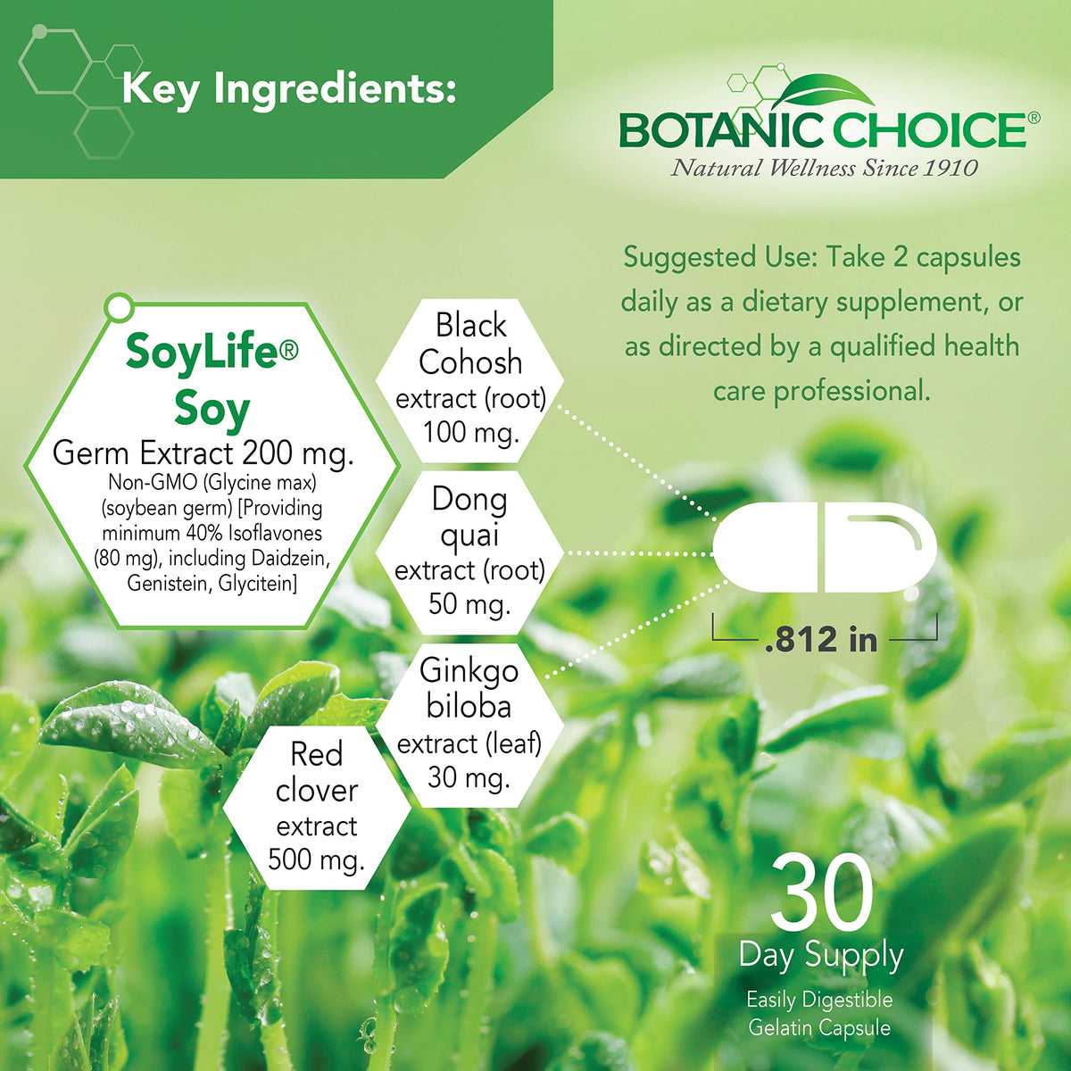 Botanic Choice Natural Menopause Hot Flash Relief - 60 Capsules - image 3