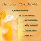 Clevr SuperTea, 18 Servings, Hydration Tea Blend with Coconut Water