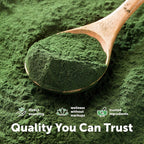 Micro Ingredients Organic Spirulina Powder - 1 lb - image 6
