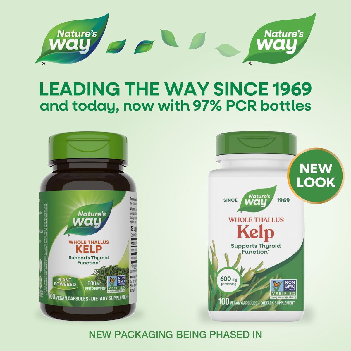 Nature's Way Kelp 600 mg Iodine Support - 100 Capsules - image 2