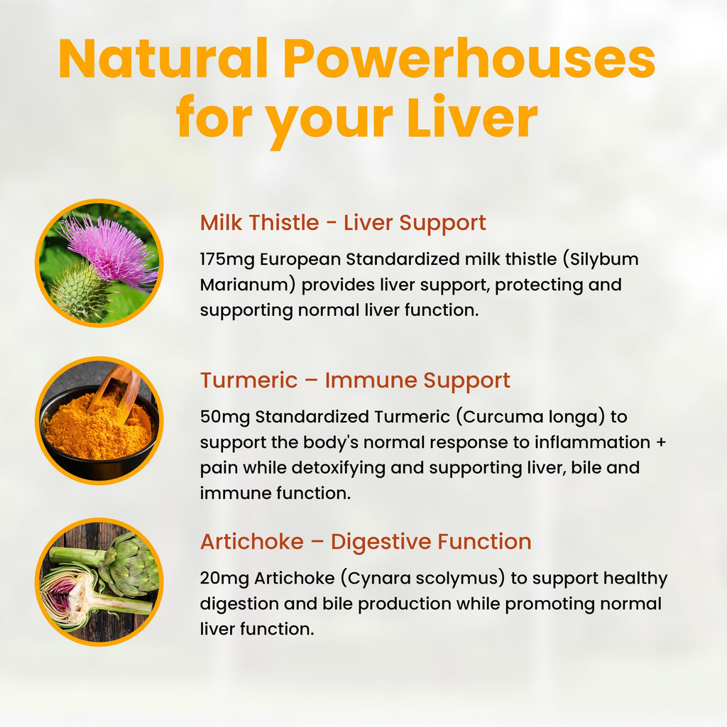 Natural Wellness Milk Thistle with Artichoke & Turmeric Liver Support - image 4