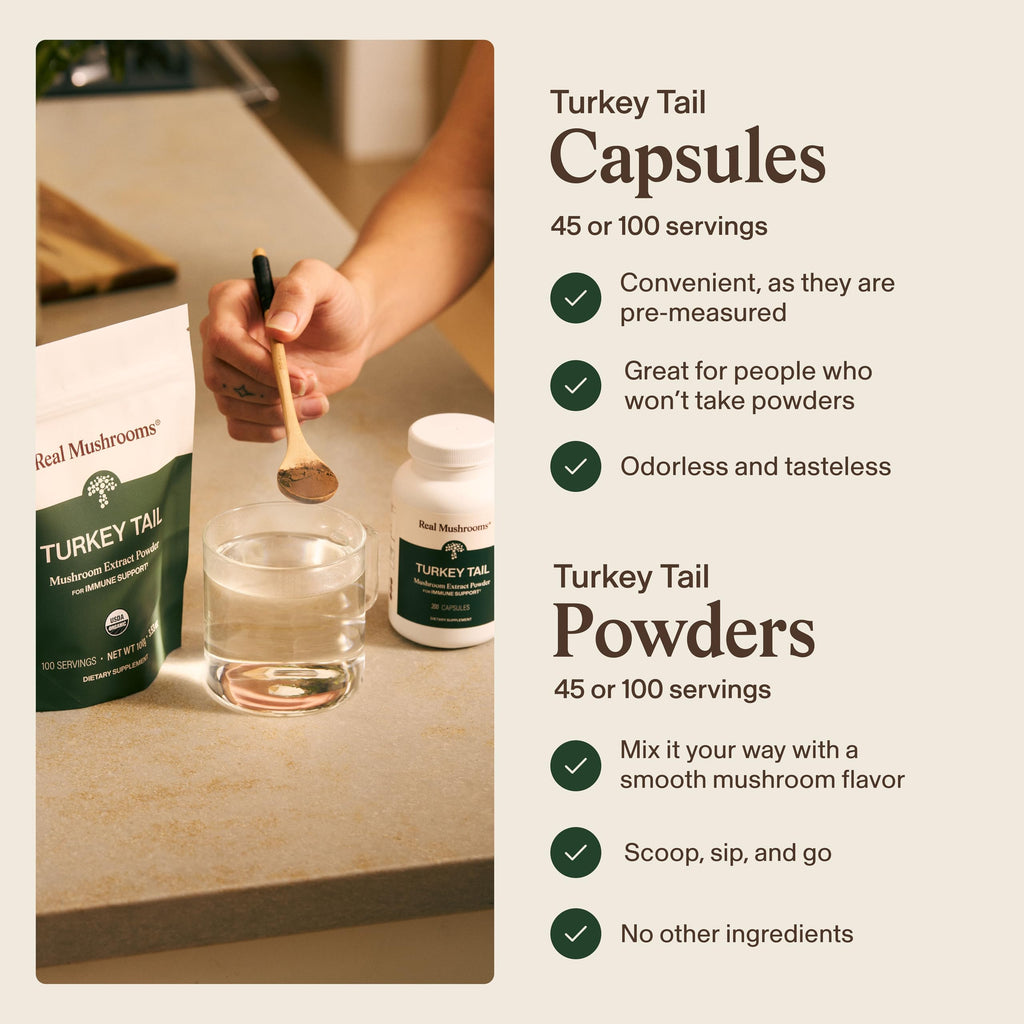 Real Mushrooms Organic Turkey Tail Powder for Immune Support - 100 Servings - image 4