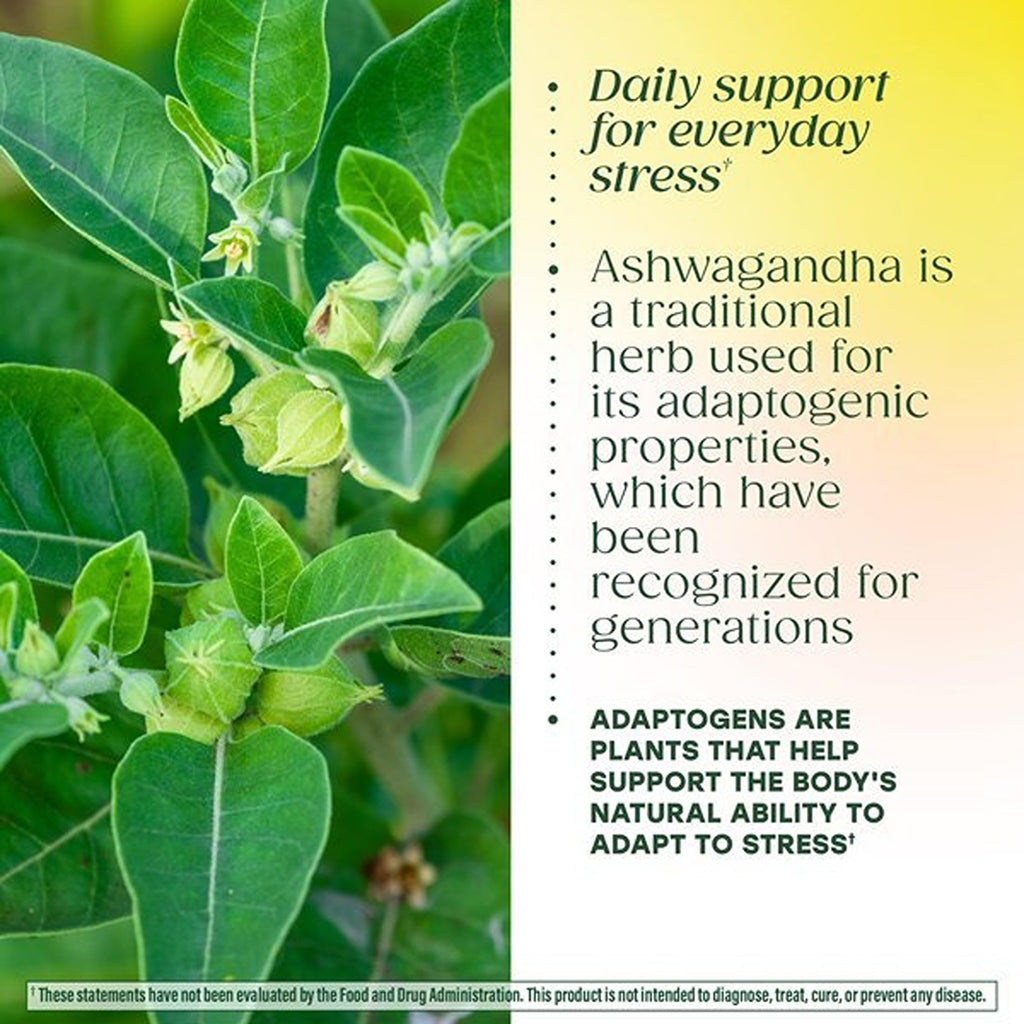 MegaFood Ashwagandha Complex Stress Support - 60 Tablets - image 6