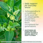MegaFood Ashwagandha Complex Stress Support - 60 Tablets - image 6