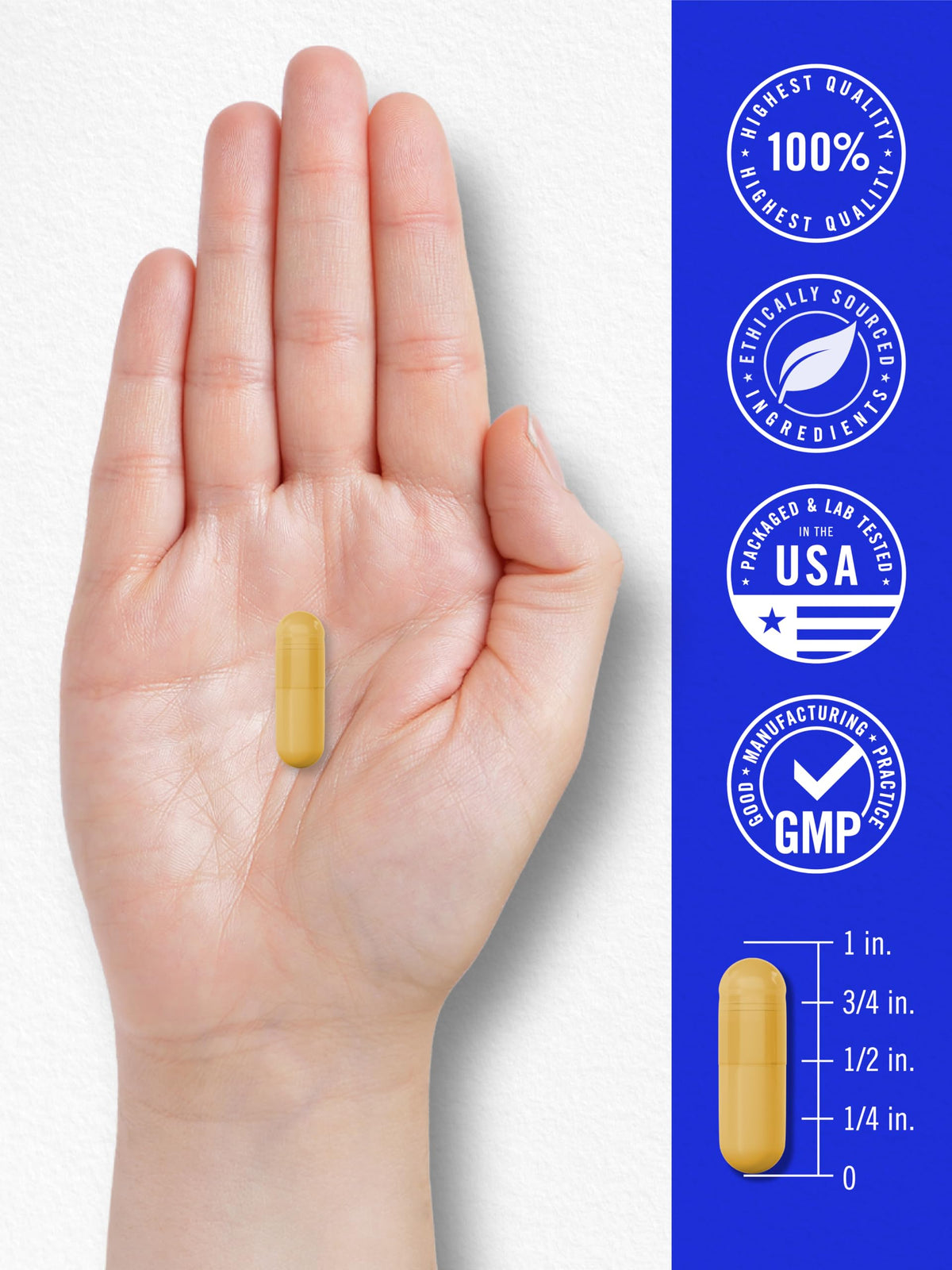 Carlyle B-100 Complex Vitamin B - 250 Vegetarian Capsules - image 7