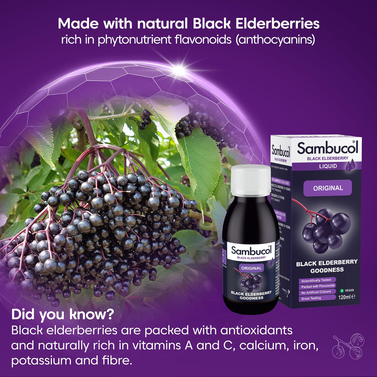 Sambucol Original Black Elderberry Extract Immune Support - 120ml - image 3