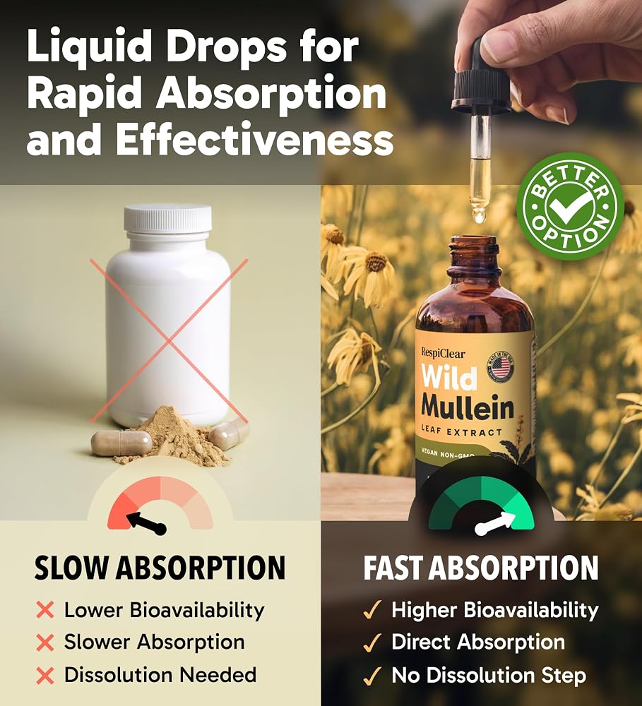 RESPICLEAR Mullein Drops with Ginger & Lemon for Lung Health - 2 Fl Oz - image 5