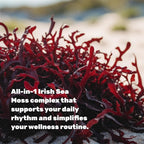 DEAL SUPPLEMENT 14-in-1 Irish Sea Moss Complex - 240 Vegetarian Capsules - image 4