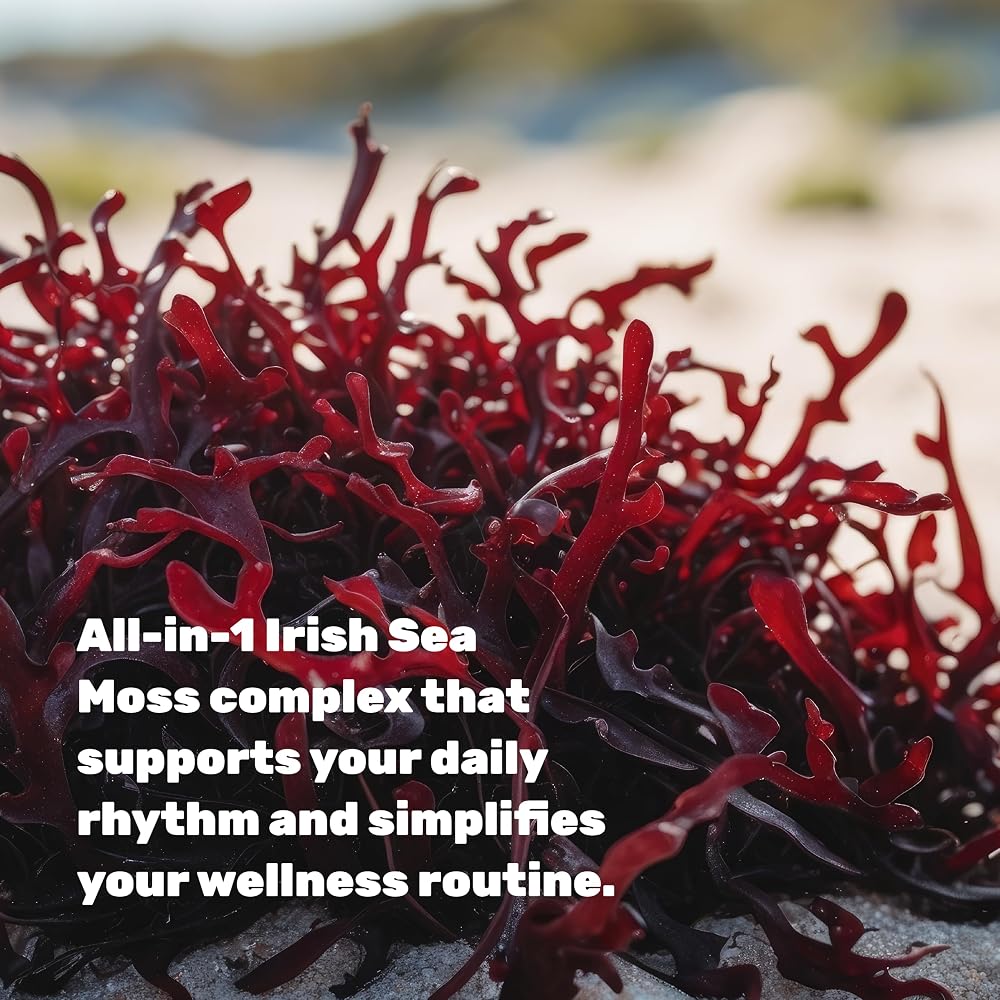 DEAL SUPPLEMENT 14-in-1 Irish Sea Moss Complex - 240 Vegetarian Capsules - image 4