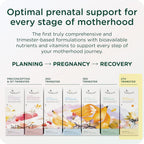 Healthybaby HealthyNest Prenatal Vitamin - Pregnancy Support