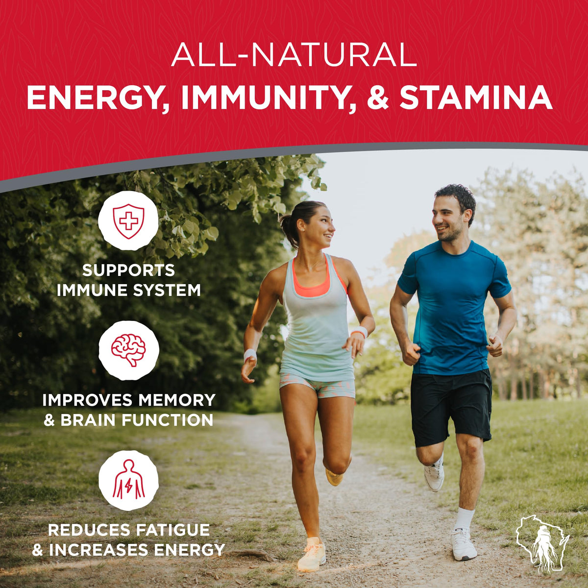 Dairyland Management LLC American Ginseng Powder