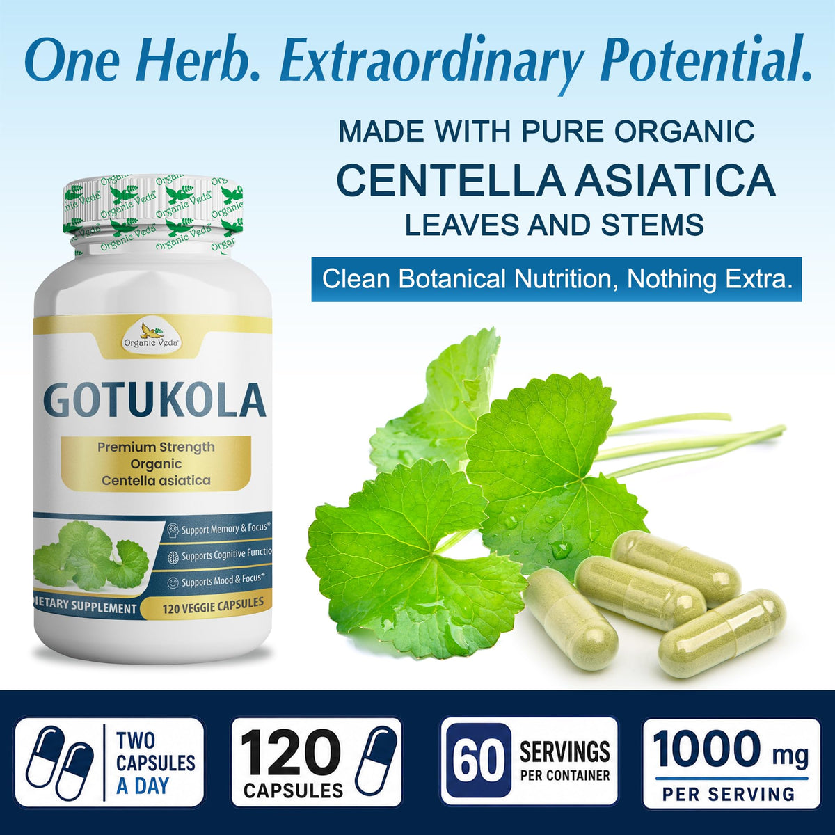 Organic Veda Centella Asiatica Gotu Kola Brain Support - 120 Capsules - image 3