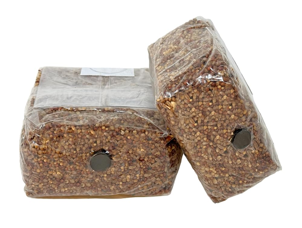 Myco Labs Premium 5-Grain Mushroom Spawn Bags - 2 Quarts Each - image 2
