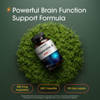 NatureBell Huperzine A 400mcg Brain Support - 240 Capsules - image 2