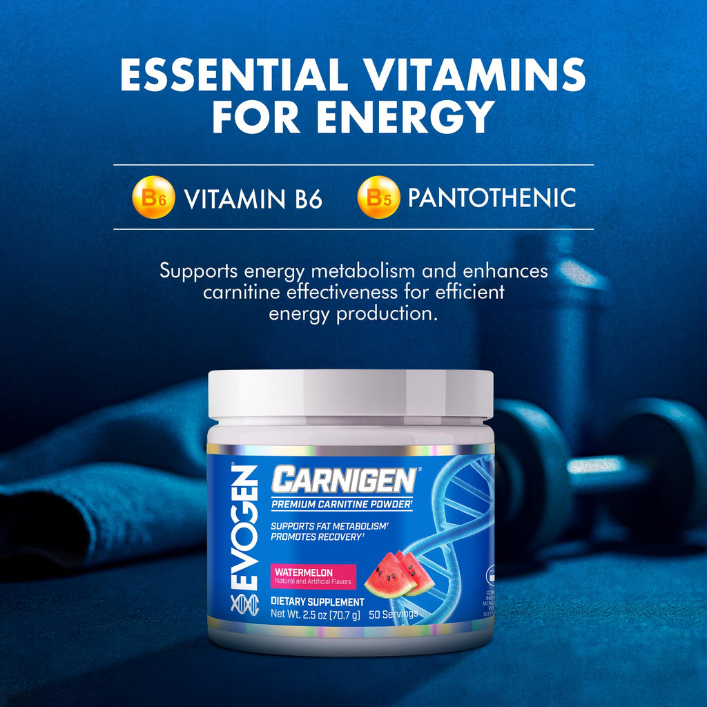 Evogen Carnigen - Premium Carnitine Powder