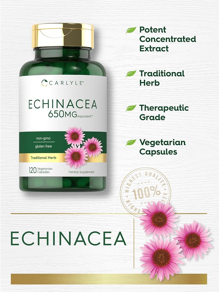 Carlyle Echinacea Capsules - 120 Vegetarian Capsules - image 4