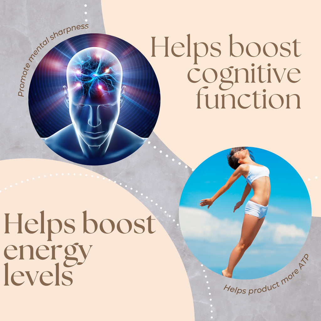 Research Labs NAD+ Supplement with Nicotinamide Riboside - 120 Capsules - image 3