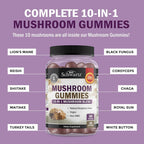 BioSchwartz Mushroom Gummies for Mood and Focus - 60 Count - image 5