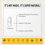 Living Alchemy Fermented Holy Basil Supplement - 60 Capsules - image 3