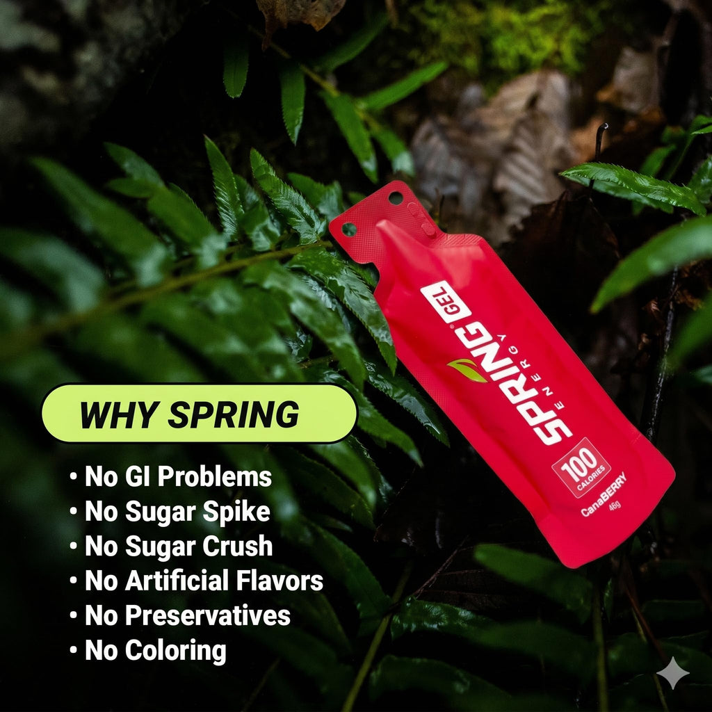 SPRING Energy Real Food Energy Gel - Wholesome