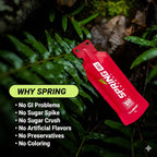 SPRING Energy Real Food Energy Gel - Wholesome