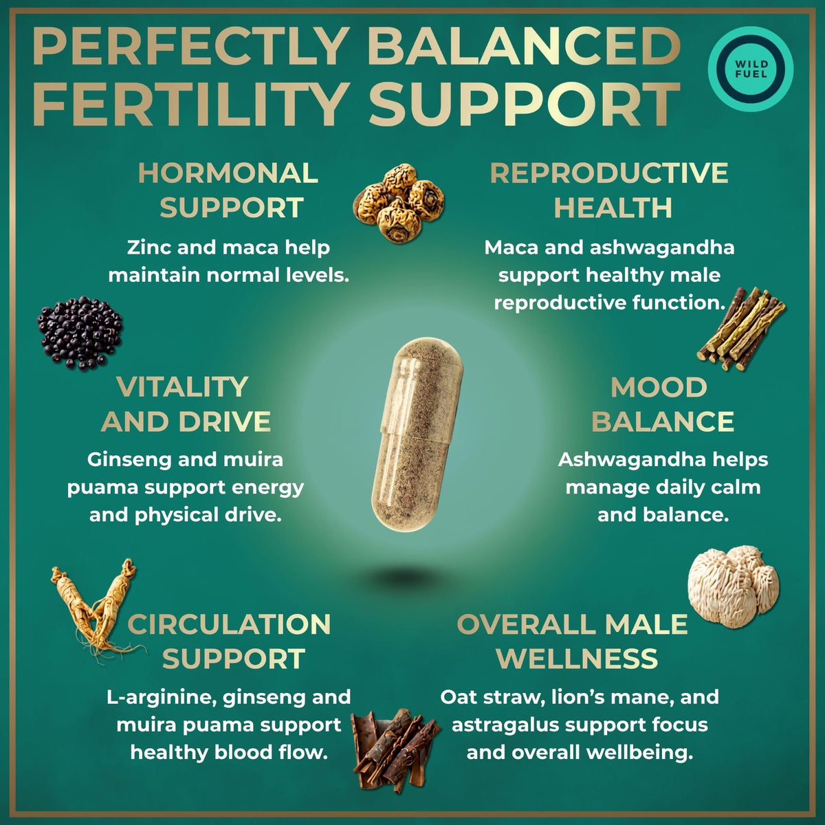 WILD FUEL HMB and Vitamin D3 Supplement Capsules Parent