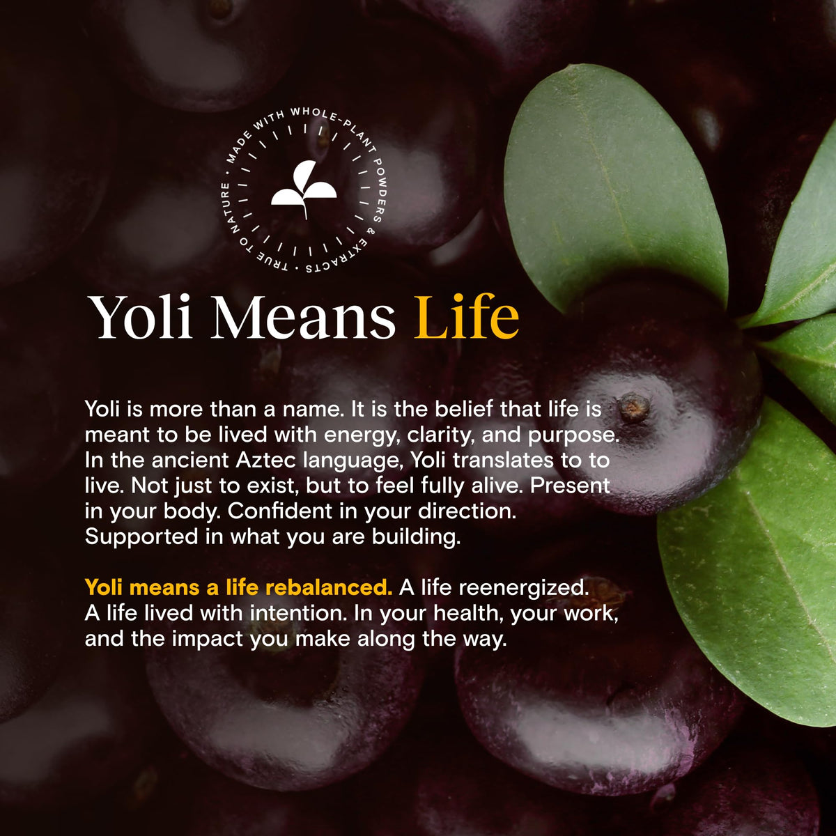 Yoli Passion Energy Powder Mix Grape Acai Sugar-Free - 30 Packets - image 8