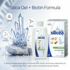 Hübner Original Silicea Gel Colloidal Silica - 17 fl oz (Pack of 4) - image 3