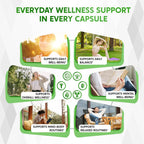 Nessarit Complete 14-in-1 St. John's Wort with Rhodiola & D3 - 150 Capsules - image 3