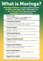Lunakai USA Made Pure Moringa Capsules
